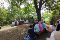 35_IMG_20250504_110711