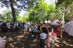 38_IMG_20250504_112122